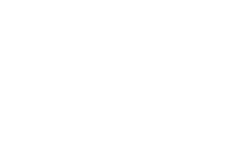 LOGO_SA_FLAT_white_web Logo der Soil Assembly