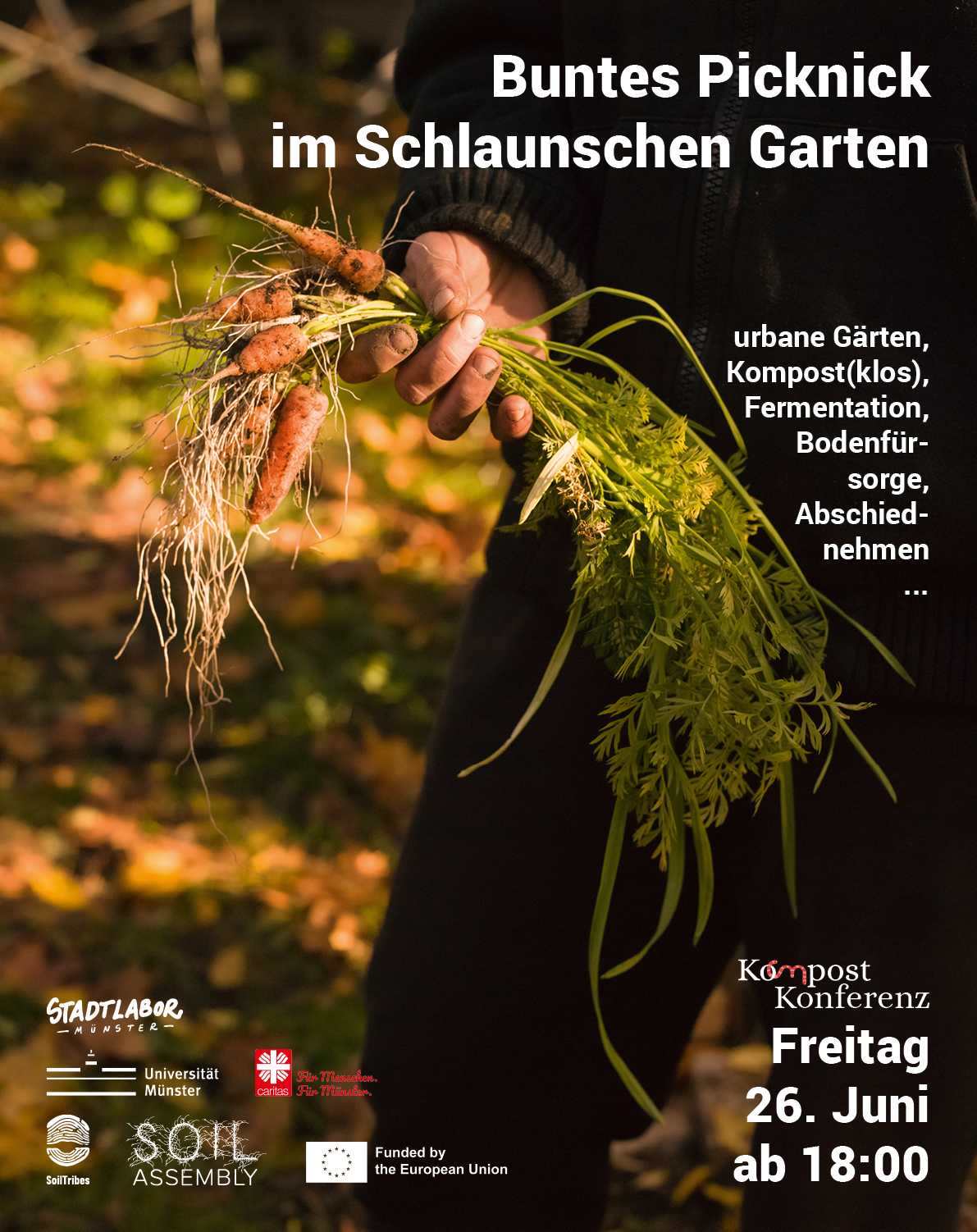Flyer der Picknickveranstaltung am Freitag den 26. Juni 2026 im Schlaunschen Garten in Münster ab 18 Uhr.